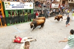 Burriana se estrena en los encierros de toros cerriles con un herido grave y once leves
