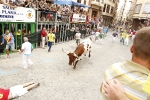 Burriana se estrena en los encierros de toros cerriles con un herido grave y once leves