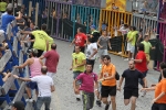 Burriana se estrena en los encierros de toros cerriles con un herido grave y once leves