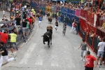 Burriana se estrena en los encierros de toros cerriles con un herido grave y once leves