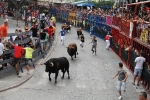 Burriana se estrena en los encierros de toros cerriles con un herido grave y once leves