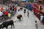 Burriana se estrena en los encierros de toros cerriles con un herido grave y once leves