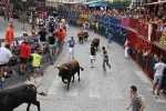 Burriana se estrena en los encierros de toros cerriles con un herido grave y once leves