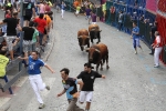 Burriana se estrena en los encierros de toros cerriles con un herido grave y once leves