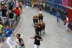 Burriana se estrena en los encierros de toros cerriles con un herido grave y once leves
