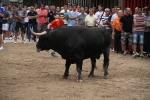 Vila-real cierra el capítulo de las exhibiciones taurinas