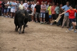 Vila-real cierra el capítulo de las exhibiciones taurinas