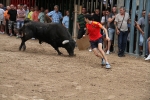 Vila-real cierra el capítulo de las exhibiciones taurinas