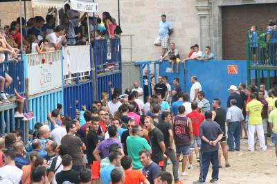 Fotografia /Galeria/2013/9/91951_48803/4_M1.jpg