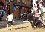 Burriana retoma las exhibiciones taurinas con dos toros grandes toros de 6 aos 