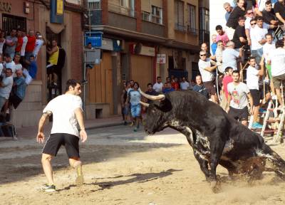 Burriana retoma las exhibiciones taurinas con dos toros grandes toros de 6 aos 