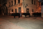 Multitudinario encierro de toros embolados