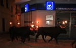 Multitudinario encierro de toros embolados
