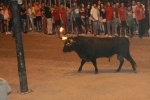 Multitudinario encierro de toros embolados