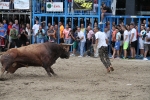 Otro lleno completo en la 'vila del bou'