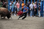 Otro lleno completo en la 'vila del bou'