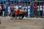 Otro lleno completo en la 'vila del bou'