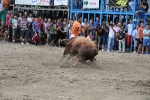 Otro lleno completo en la 'vila del bou'