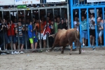 Otro lleno completo en la 'vila del bou'