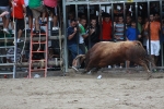Otro lleno completo en la 'vila del bou'