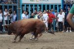 Otro lleno completo en la 'vila del bou'