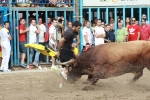 Otro lleno completo en la 'vila del bou'