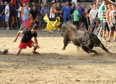 Fotografia /Galeria/2013/9/92123_48891/2_M1.jpg