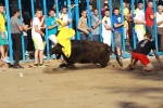 Otro lleno completo en la 'vila del bou'