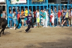 Otro lleno completo en la 'vila del bou'