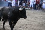 Otro lleno completo en la 'vila del bou'