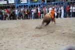 Otro lleno completo en la 'vila del bou'