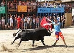 Les Bourrianeres celebran su quinto aniversario con tres toros