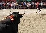 Les Bourrianeres celebran su quinto aniversario con tres toros