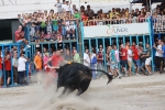 Toros de la tarde y noche