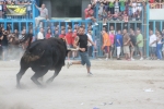 Toros de la tarde y noche