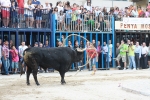 Toros de la tarde y noche