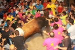 Toros de la tarde y noche