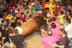 Toros de la tarde y noche