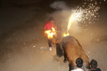 Toros de la tarde y noche