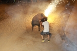 Toros de la tarde y noche