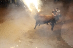 Toros de la tarde y noche