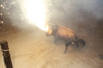 Toros de la tarde y noche