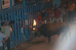 Toros de la tarde y noche