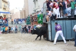 Toros de la tarde y noche