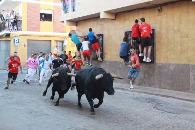 Los toros de Fidel San Roman protagonizan un encierro limpio y sin incidentes