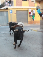 Los toros de Fidel San Roman protagonizan un encierro limpio y sin incidentes