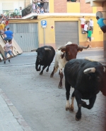 Los toros de Fidel San Roman protagonizan un encierro limpio y sin incidentes