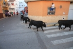 Los toros de Fidel San Roman protagonizan un encierro limpio y sin incidentes
