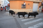 Los toros de Fidel San Roman protagonizan un encierro limpio y sin incidentes