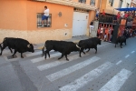Los toros de Fidel San Roman protagonizan un encierro limpio y sin incidentes